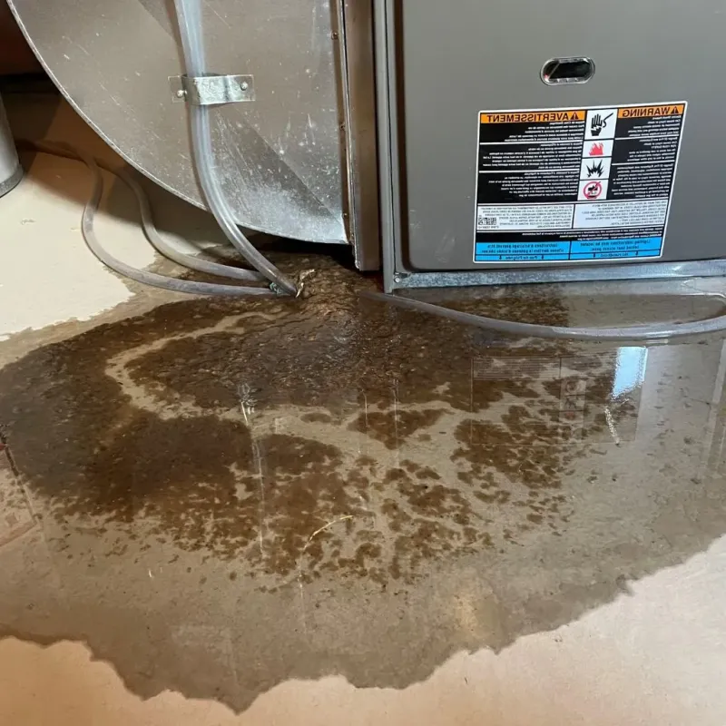 Pipe Burst and Leak Restoration in Edwards Air Force Base, CA