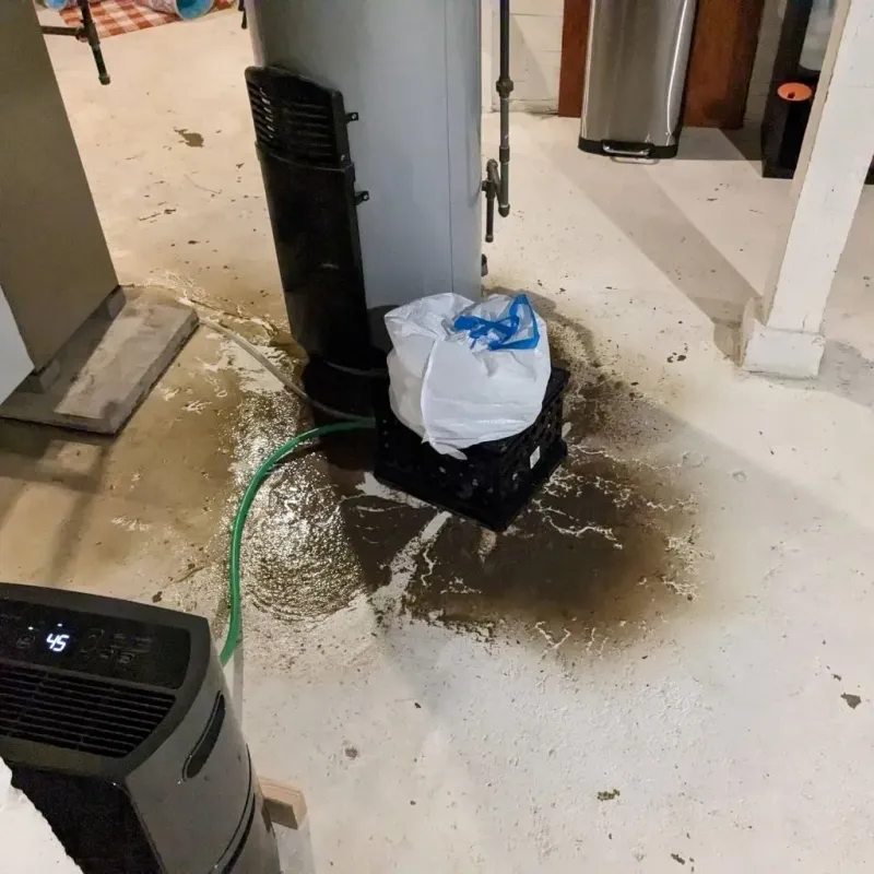 Sewage Backup Cleanup Service in Edwards Air Force Base, CA
